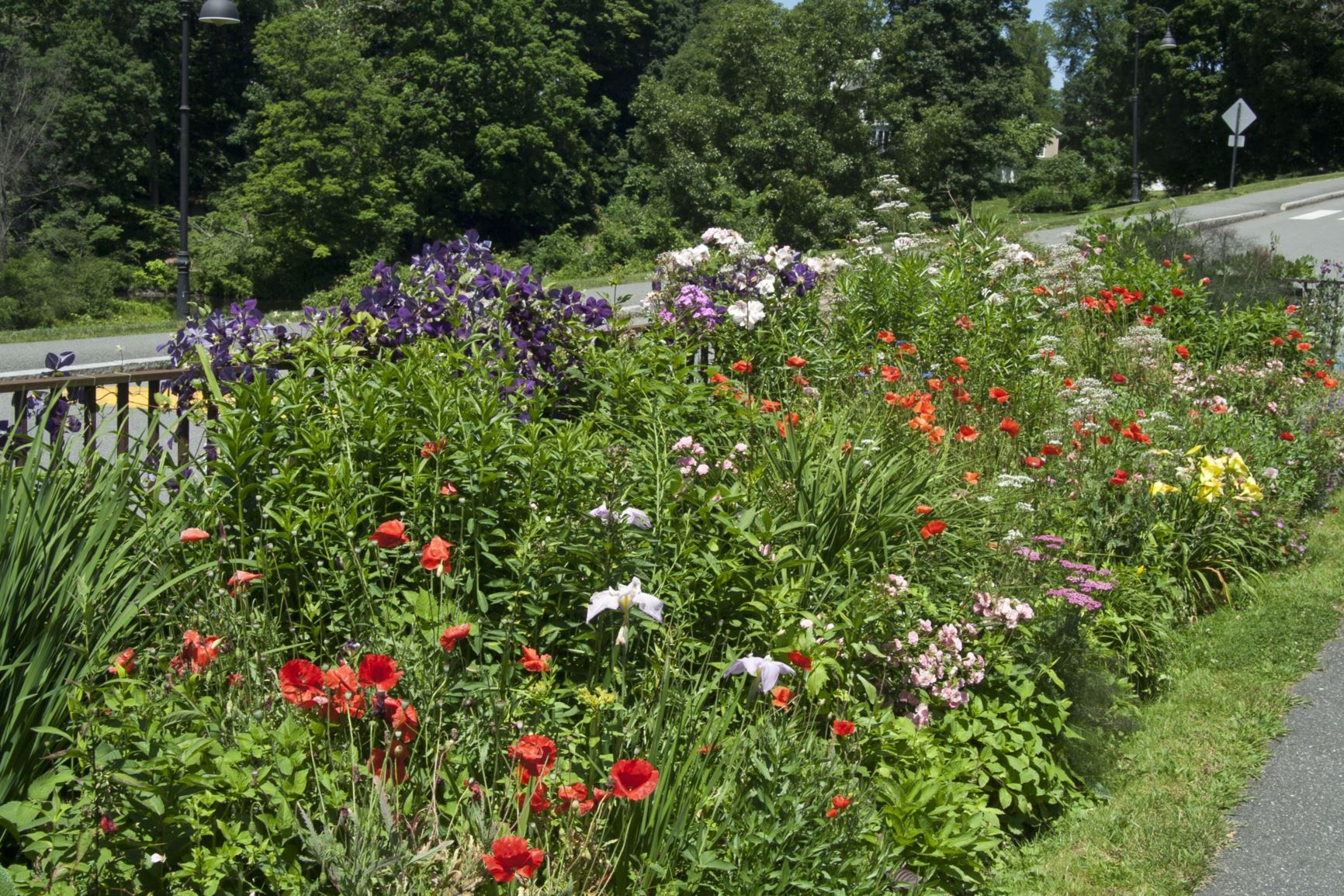 Garden view