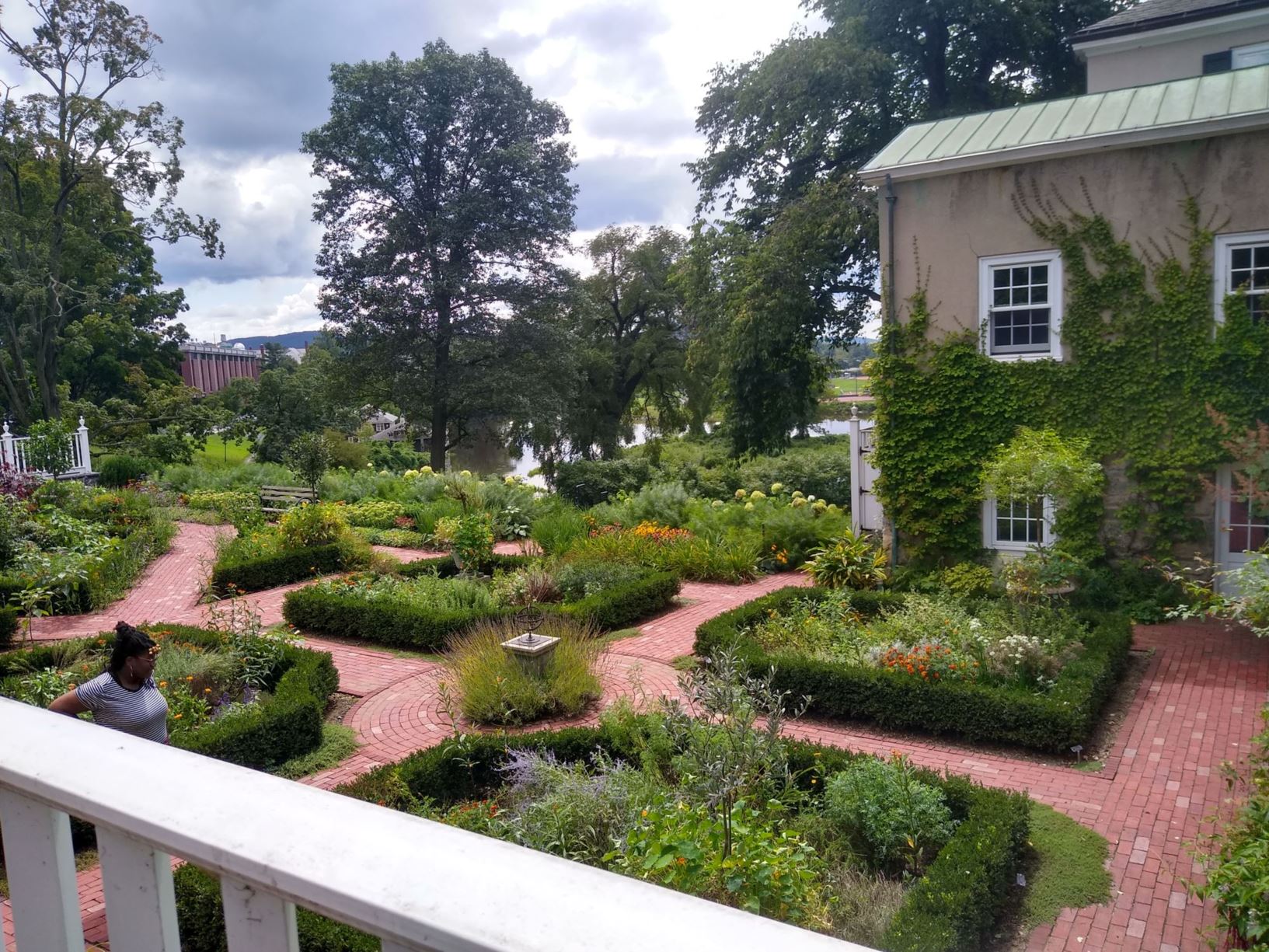 Garden view